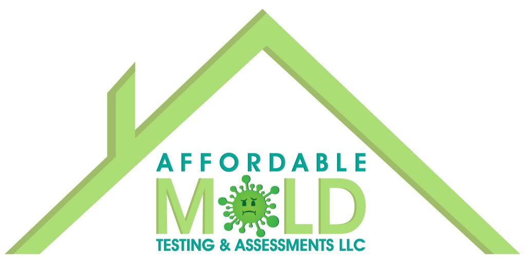 Company logo1 1024x503